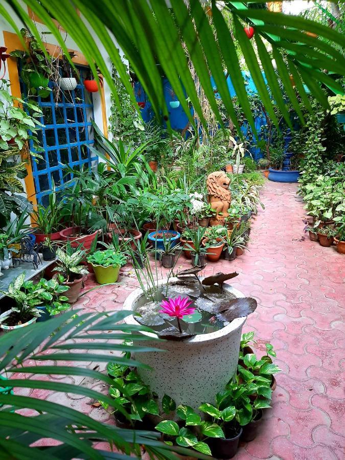 The Coral House Homestay By The Taj Agra  Exterior photo